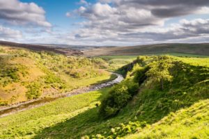 Why More People Are Choosing Bungalows in Northumberland for Long-Term Living